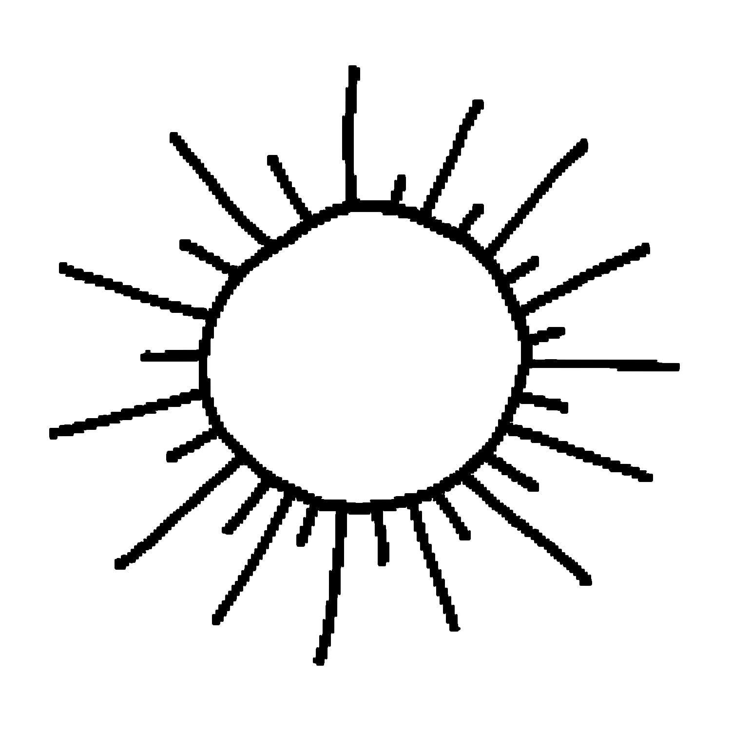 sun